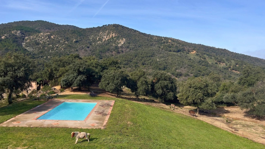 Photos 11 - Équestre - Propriété de caractère de 2 hectares proche du Golfe de St-Tropez (83)