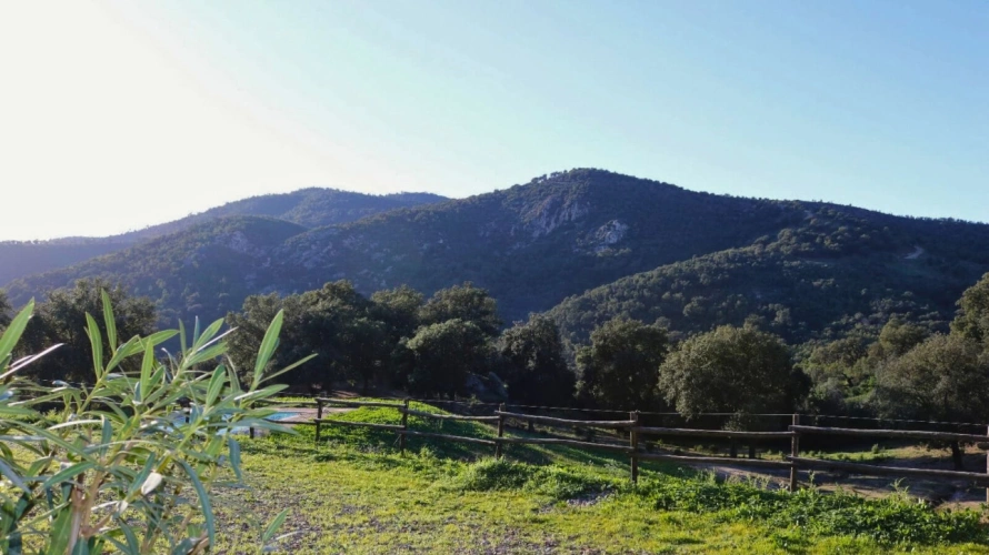Photos 13 - Équestre - Propriété de caractère de 2 hectares proche du Golfe de St-Tropez (83)