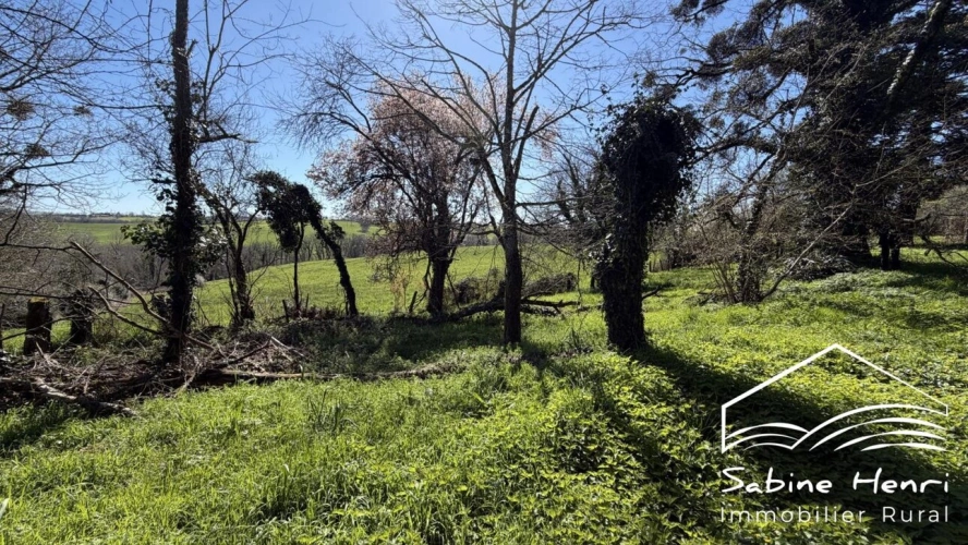 Photos 23 - Rurale - Corps de ferme sur plus 1ha