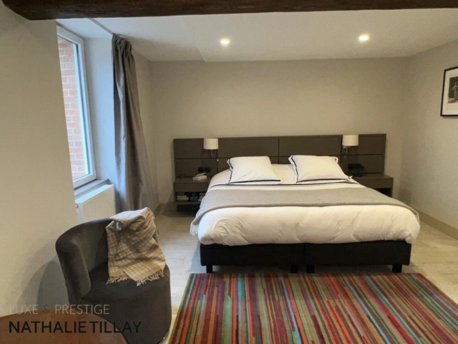 Photos 11 - Prestige - Propriete à vendre, GIDY  proche Orleans , piscine et parc