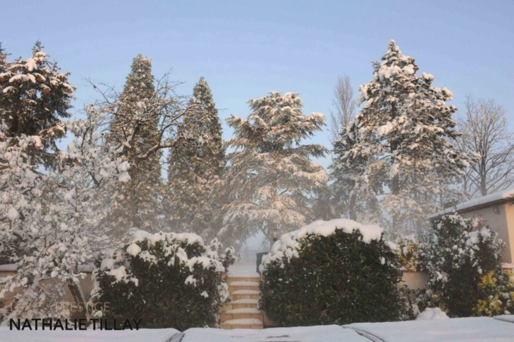 Photos 17 - Prestige - Propriete à vendre, GIDY  proche Orleans , piscine et parc