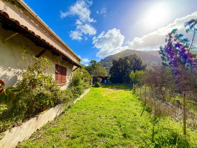 Photos 1 - Touristique - SAGONE (Corse) : Propriete à vendre, maison T4 + dépendance avec 2 appartements T1, sur terrain plat de 5000m2