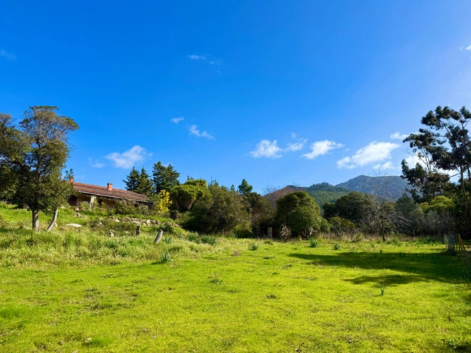 Photos 2 - Touristique - SAGONE (Corse) : Propriete à vendre, maison T4 + dépendance avec 2 appartements T1, sur terrain plat de 5000m2