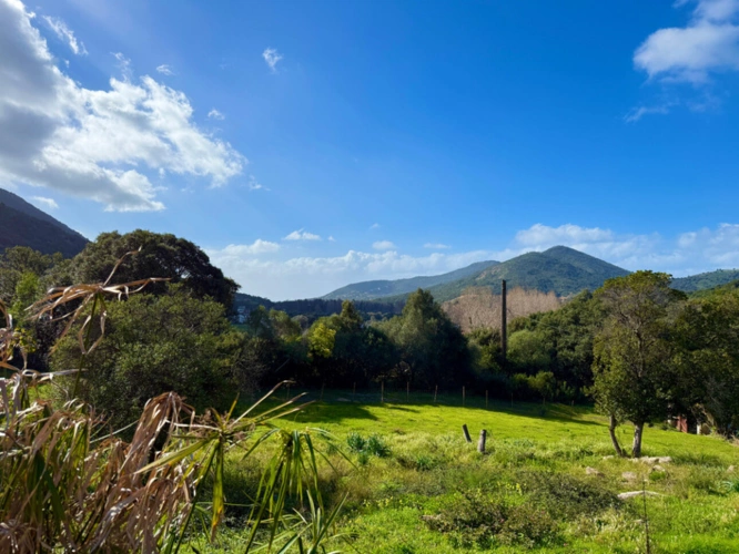 Photos 3 - Touristique - SAGONE (Corse) : Propriete à vendre, maison T4 + dépendance avec 2 appartements T1, sur terrain plat de 5000m2