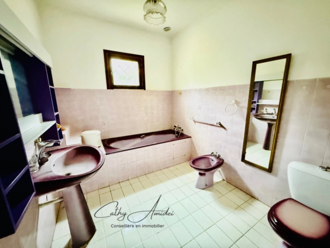 Photos 10 - Touristique - SAGONE (Corse) : Propriete à vendre, maison T4 + dépendance avec 2 appartements T1, sur terrain plat de 5000m2