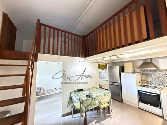 Photos 11 - Touristique - SAGONE (Corse) : Propriete à vendre, maison T4 + dépendance avec 2 appartements T1, sur terrain plat de 5000m2