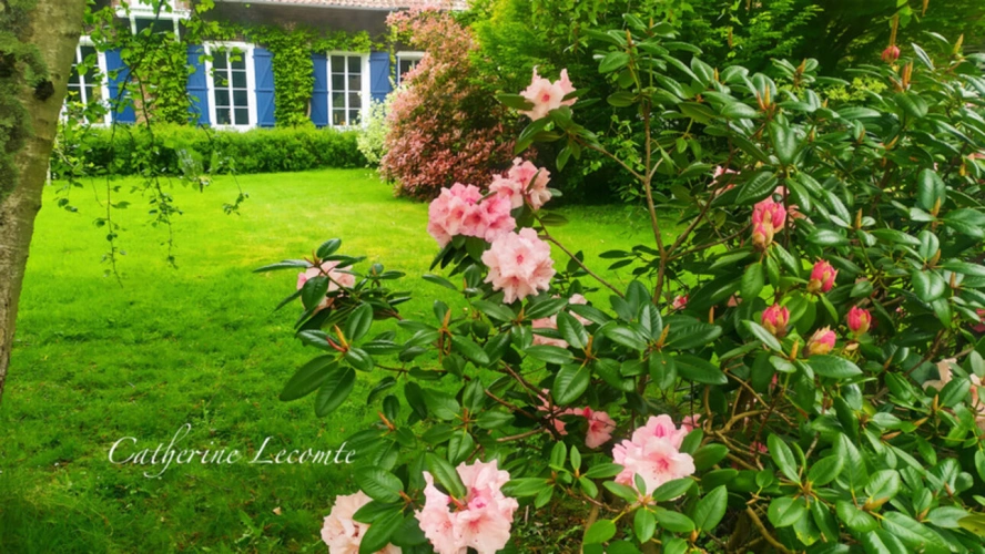 Photos 2 - Rurale - À VENDRE - SAMER - DOMAINE D'EXCEPTION - 381 M2 - ÉLÉGANTE DEMEURE DE CARACTERE SUR 3 HECTARES - 10 PIÈCES - VIE SEMI PLAIN-PIED - GÎTE ET DÉPENDANCES