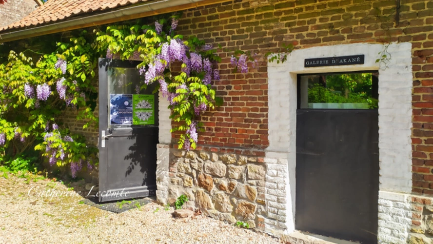 Photos 4 - Rurale - À VENDRE - SAMER - DOMAINE D'EXCEPTION - 381 M2 - ÉLÉGANTE DEMEURE DE CARACTERE SUR 3 HECTARES - 10 PIÈCES - VIE SEMI PLAIN-PIED - GÎTE ET DÉPENDANCES