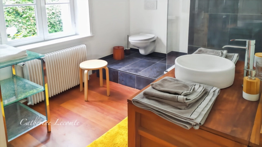 Photos 13 - Rurale - À VENDRE - SAMER - DOMAINE D'EXCEPTION - 381 M2 - ÉLÉGANTE DEMEURE DE CARACTERE SUR 3 HECTARES - 10 PIÈCES - VIE SEMI PLAIN-PIED - GÎTE ET DÉPENDANCES