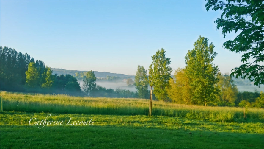 Photos 27 - Rurale - À VENDRE - SAMER - DOMAINE D'EXCEPTION - 381 M2 - ÉLÉGANTE DEMEURE DE CARACTERE SUR 3 HECTARES - 10 PIÈCES - VIE SEMI PLAIN-PIED - GÎTE ET DÉPENDANCES