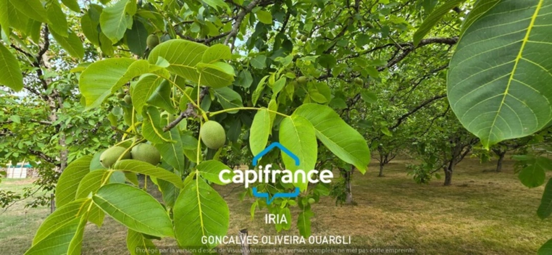 Photos 18 - Prestige - Propriété de charme au coeur de la nature à vendre 6 pièces et 124763m² de  PUJOLS (47)