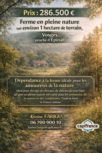 Photos 2 - Équestre - Propriete à vendre avec FERME T4 proche proche EPINAL (88) sur environ 1 hectare pleine nature