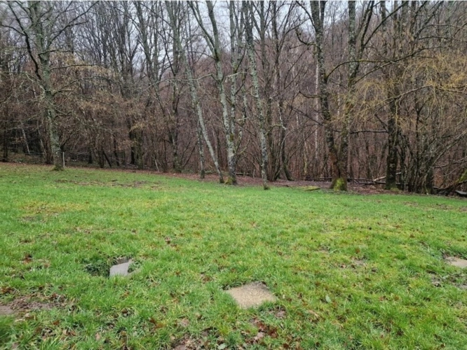 Photos 3 - Équestre - Propriete à vendre avec FERME T4 proche proche EPINAL (88) sur environ 1 hectare pleine nature