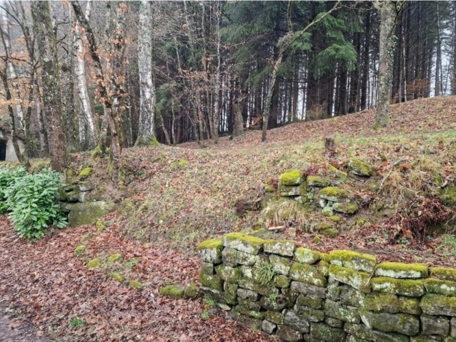 Photos 5 - Équestre - Propriete à vendre avec FERME T4 proche proche EPINAL (88) sur environ 1 hectare pleine nature