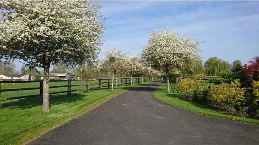 Photos 4 - Équestre - Normandie Pays d’Auge