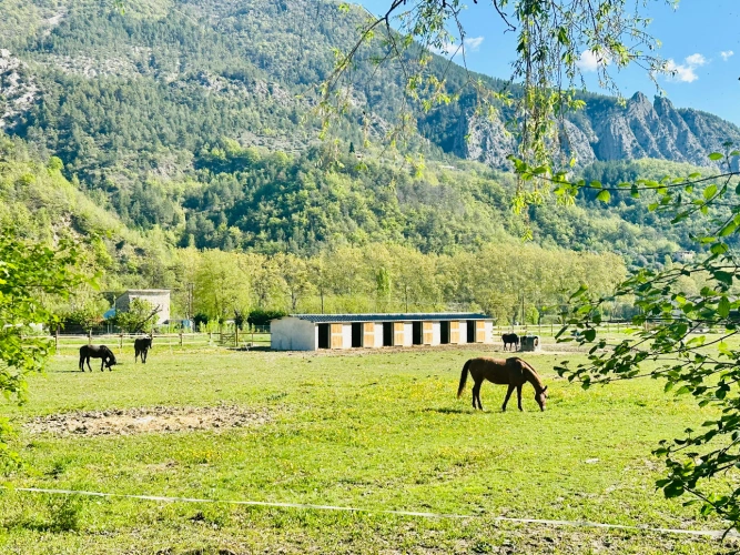 Photos 1 - Équestre - Propriété équestre 7 ha plats – Villa + appartement – 16 boxes – À 45 min de Nice
