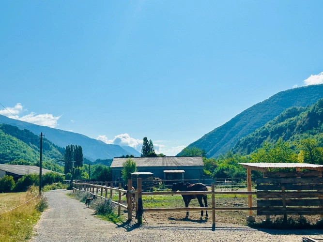 Photos 2 - Équestre - Propriété équestre 7 ha plats – Villa + appartement – 16 boxes – À 45 min de Nice