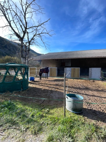 Photos 9 - Équestre - Propriété équestre 7 ha plats – Villa + appartement – 16 boxes – À 45 min de Nice