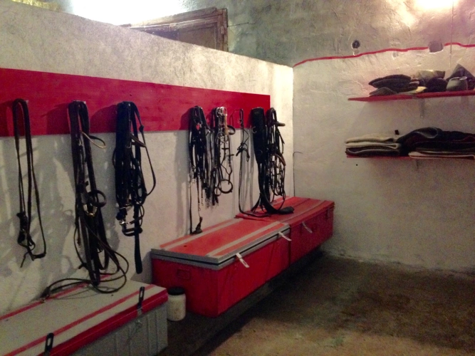 Photos 13 - Équestre - Propriété équestre 7 ha plats – Villa + appartement – 16 boxes – À 45 min de Nice