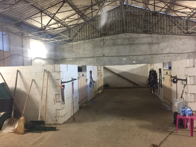 Photos 16 - Équestre - Propriété équestre 7 ha plats – Villa + appartement – 16 boxes – À 45 min de Nice