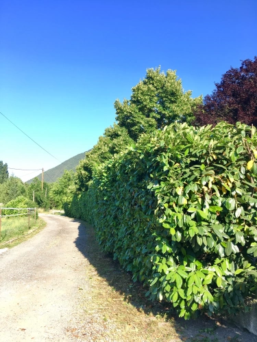 Photos 17 - Équestre - Propriété équestre 7 ha plats – Villa + appartement – 16 boxes – À 45 min de Nice