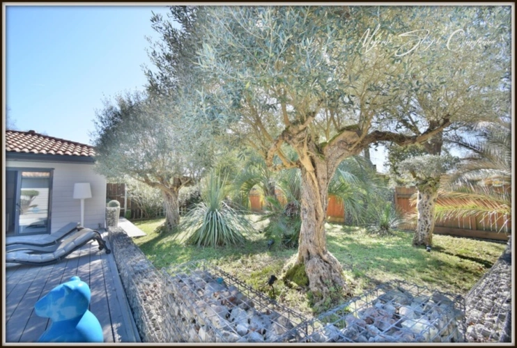 Photos 20 - Prestige - VILLA D'ARCHITECTE DE PLAIN-PIED de 200 m² à vendre 5 pièces SOUSTONS (40) à 500 m du lac