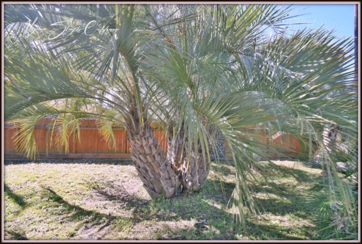 Photos 22 - Prestige - VILLA D'ARCHITECTE DE PLAIN-PIED de 200 m² à vendre 5 pièces SOUSTONS (40) à 500 m du lac