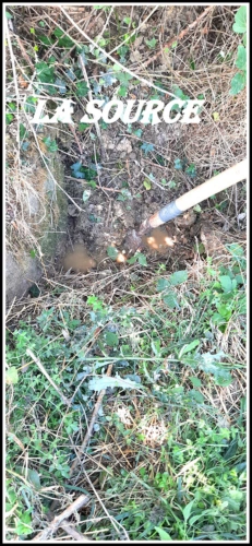 Photos 5 - Rurale - Dpt Gers (32), ferme 4 HECTARES à vendre à 15 minutes d'AUCH