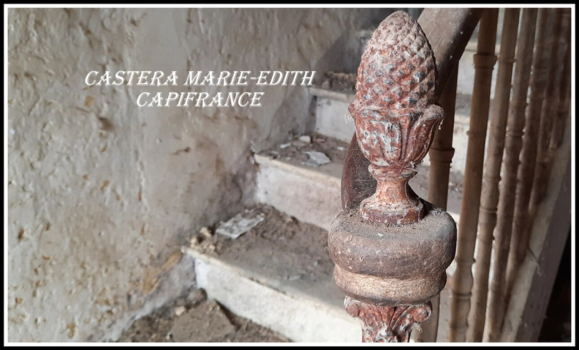 Photos 12 - Rurale - Dpt Gers (32), ferme 4 HECTARES à vendre à 15 minutes d'AUCH