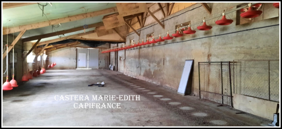 Photos 14 - Rurale - Dpt Gers (32), ferme 4 HECTARES à vendre à 15 minutes d'AUCH