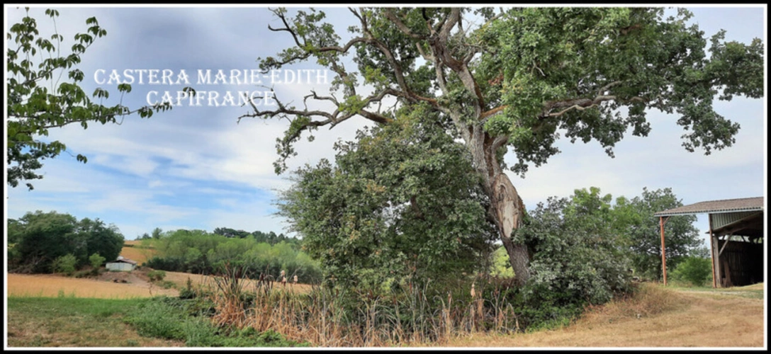 Photos 16 - Rurale - Dpt Gers (32), ferme 4 HECTARES à vendre à 15 minutes d'AUCH