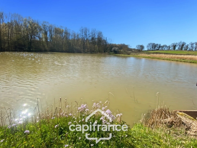 Photos 1 - Forestière - Etang de 7000m² - SAVIGNY SUR SEILLE (71)