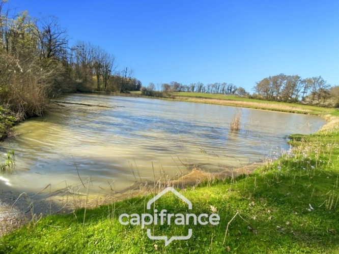 Photos 4 - Forestière - Etang de 7000m² - SAVIGNY SUR SEILLE (71)