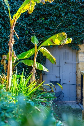 Photos 3 - Prestige - Exceptionnelle demeure de caractère du XVIIᵉ siècle entre Uzès et le Pont du Gard