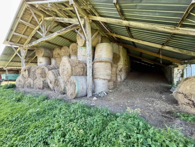 Photos 9 - Prestige - Maison