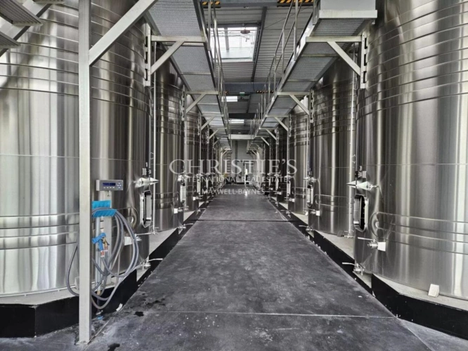 Photos 2 - Viticole - Exceptionnelle propriété viticole dans la région de Cognac