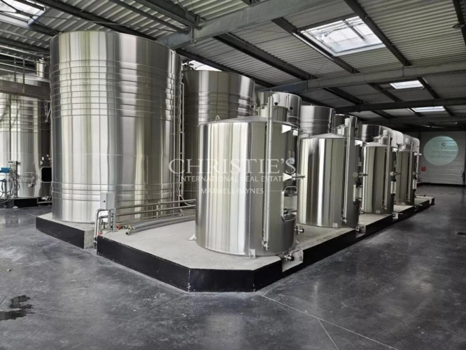 Photos 3 - Viticole - Exceptionnelle propriété viticole dans la région de Cognac