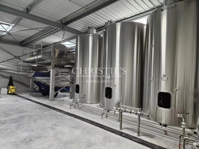 Photos 4 - Viticole - Exceptionnelle propriété viticole dans la région de Cognac