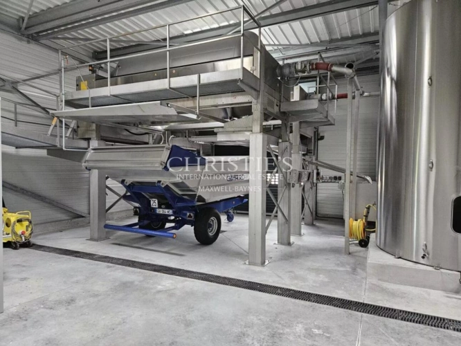 Photos 5 - Viticole - Exceptionnelle propriété viticole dans la région de Cognac