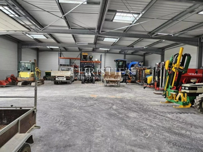 Photos 8 - Viticole - Exceptionnelle propriété viticole dans la région de Cognac