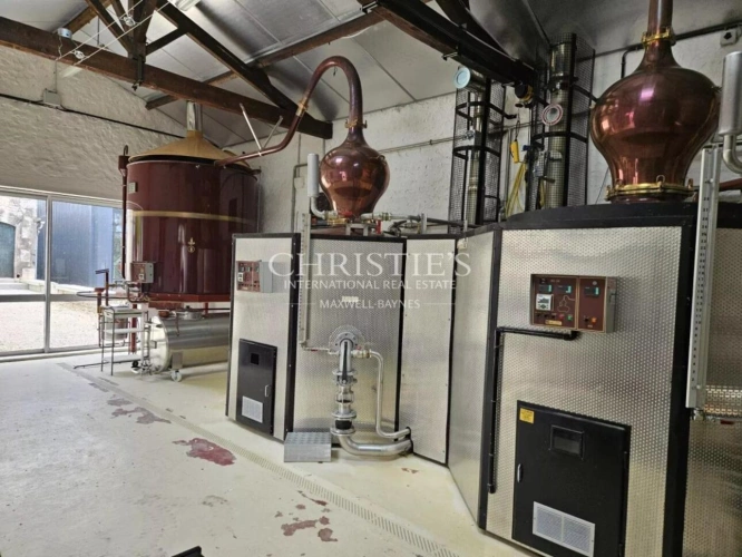 Photos 11 - Viticole - Exceptionnelle propriété viticole dans la région de Cognac