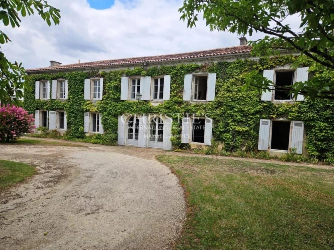 Photos 12 - Viticole - Exceptionnelle propriété viticole dans la région de Cognac