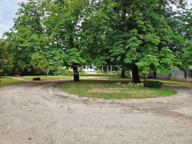 Photos 14 - Viticole - Exceptionnelle propriété viticole dans la région de Cognac