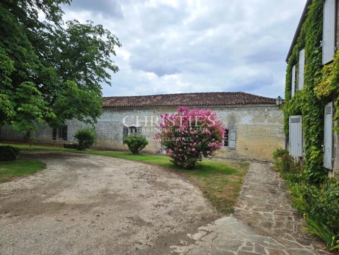 Photos 15 - Viticole - Exceptionnelle propriété viticole dans la région de Cognac
