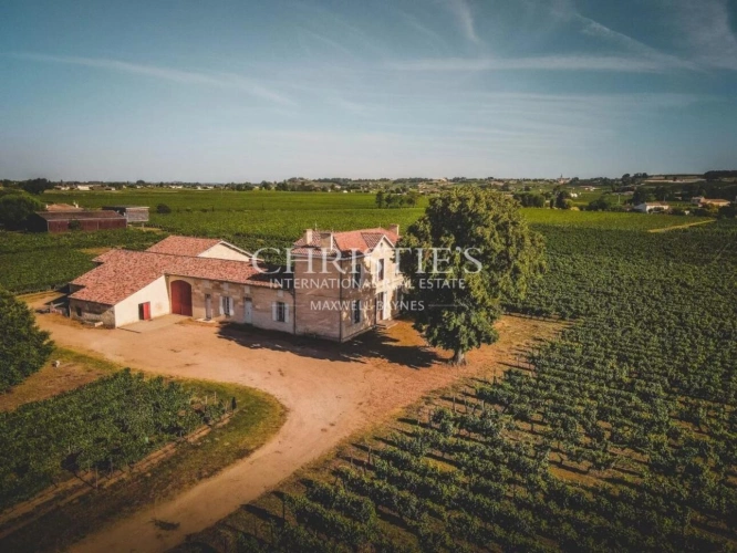 Photos 4 - Viticole - À vendre – Domaine viticole bordelais emblématique au terroir d’exception