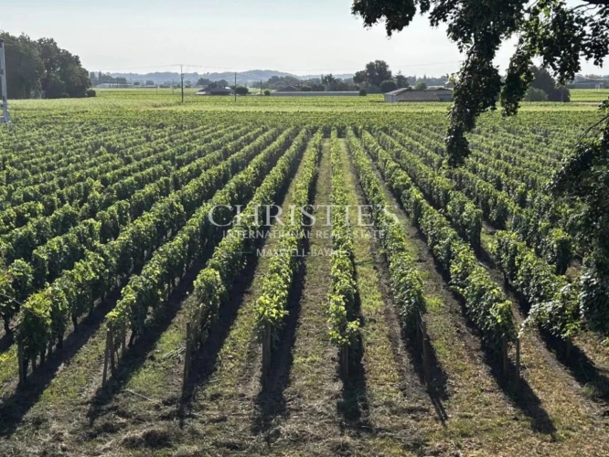 Photos 9 - Viticole - À vendre – Domaine viticole bordelais emblématique au terroir d’exception