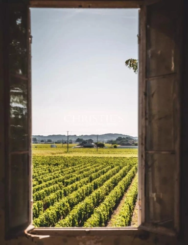 Photos 11 - Viticole - À vendre – Domaine viticole bordelais emblématique au terroir d’exception