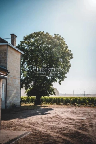 Photos 12 - Viticole - À vendre – Domaine viticole bordelais emblématique au terroir d’exception