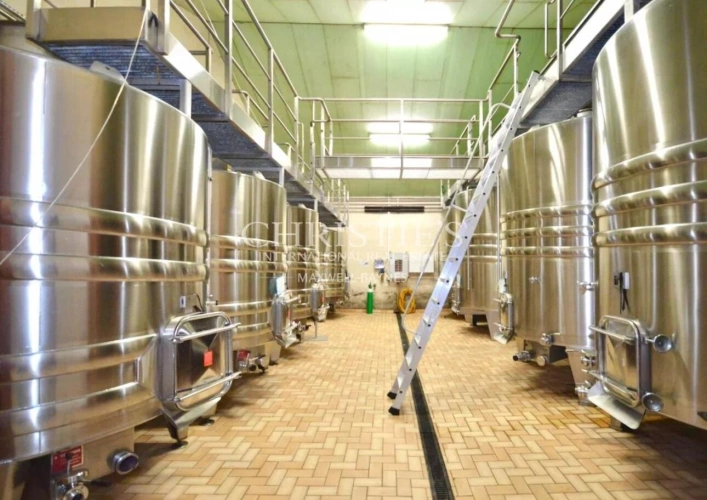 Photos 14 - Viticole - À vendre – Domaine viticole bordelais emblématique au terroir d’exception