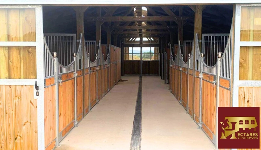 Photos 2 - Équestre - Magnifique propriété équestre 5,5 hectares